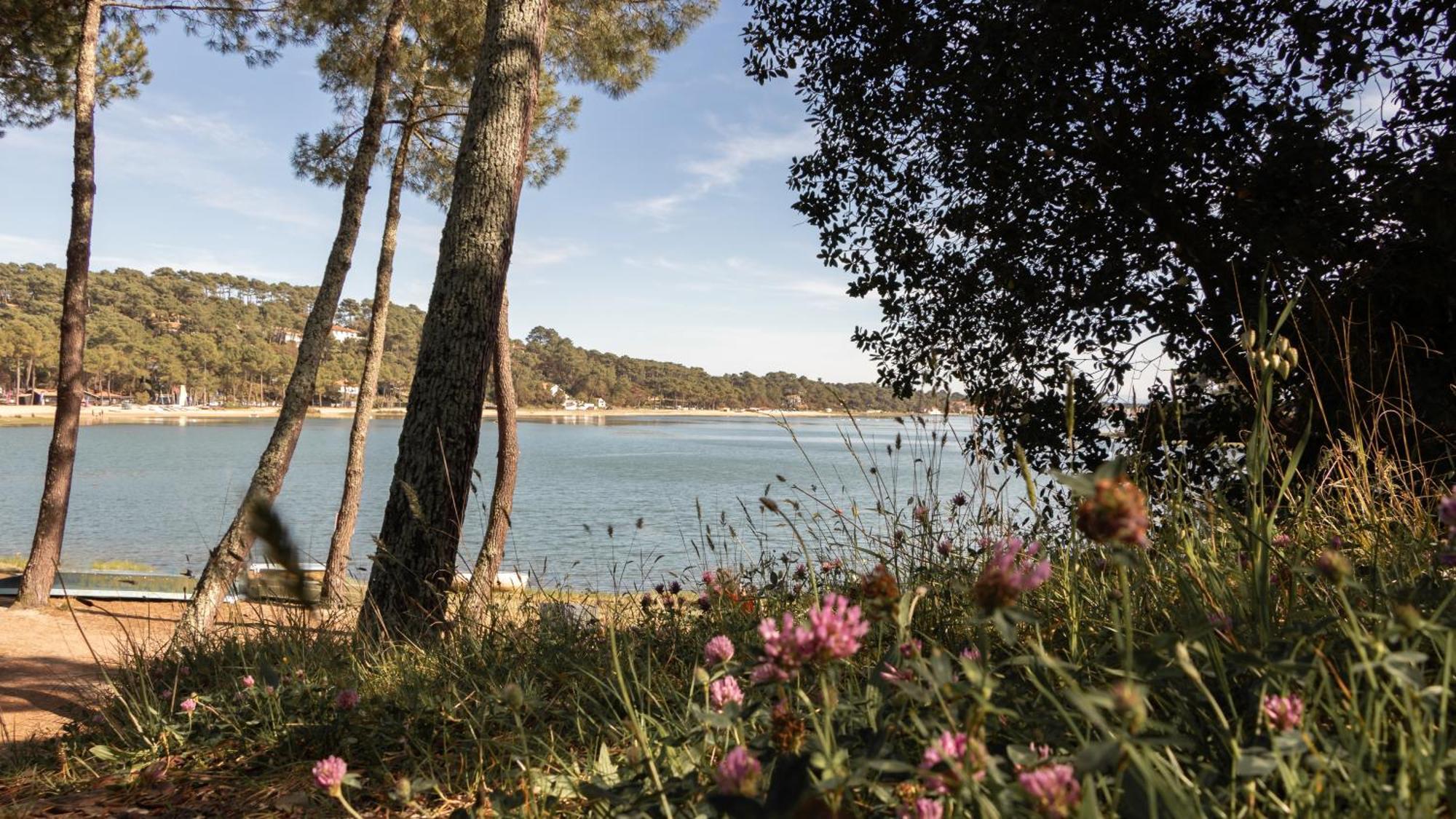 Résidence Hôtelière les Acanthes Soorts-Hossegor Exterior foto